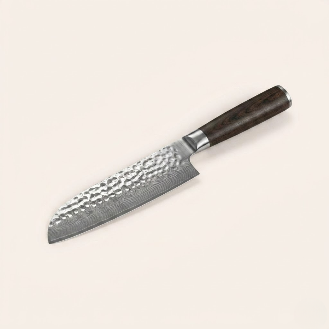 Professional Slicing Knife