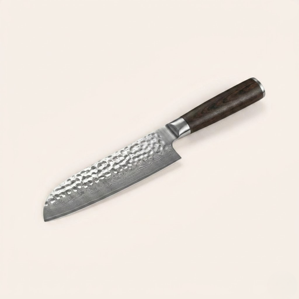 Professional Slicing Knife
